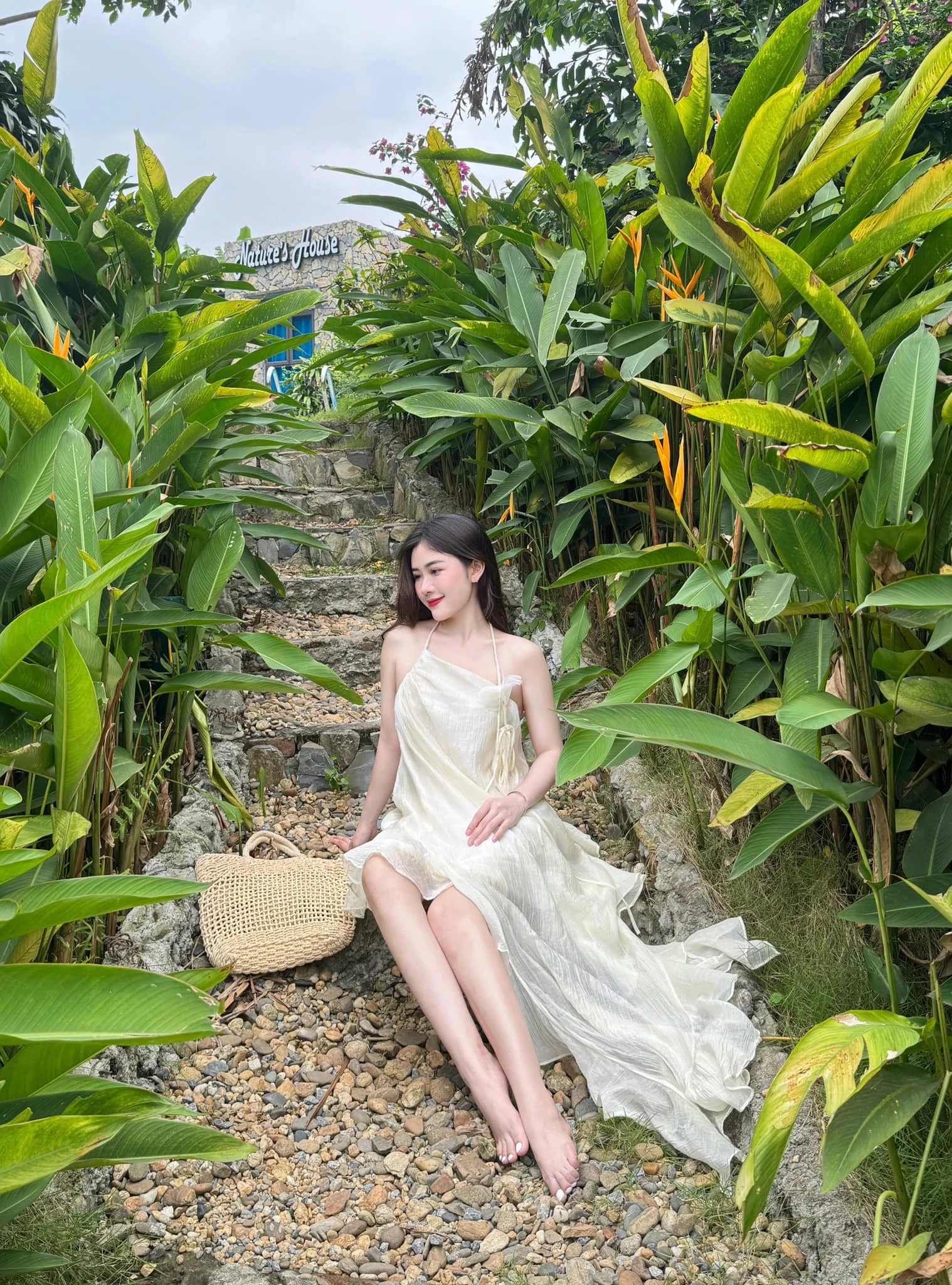 Chu hạ an 6