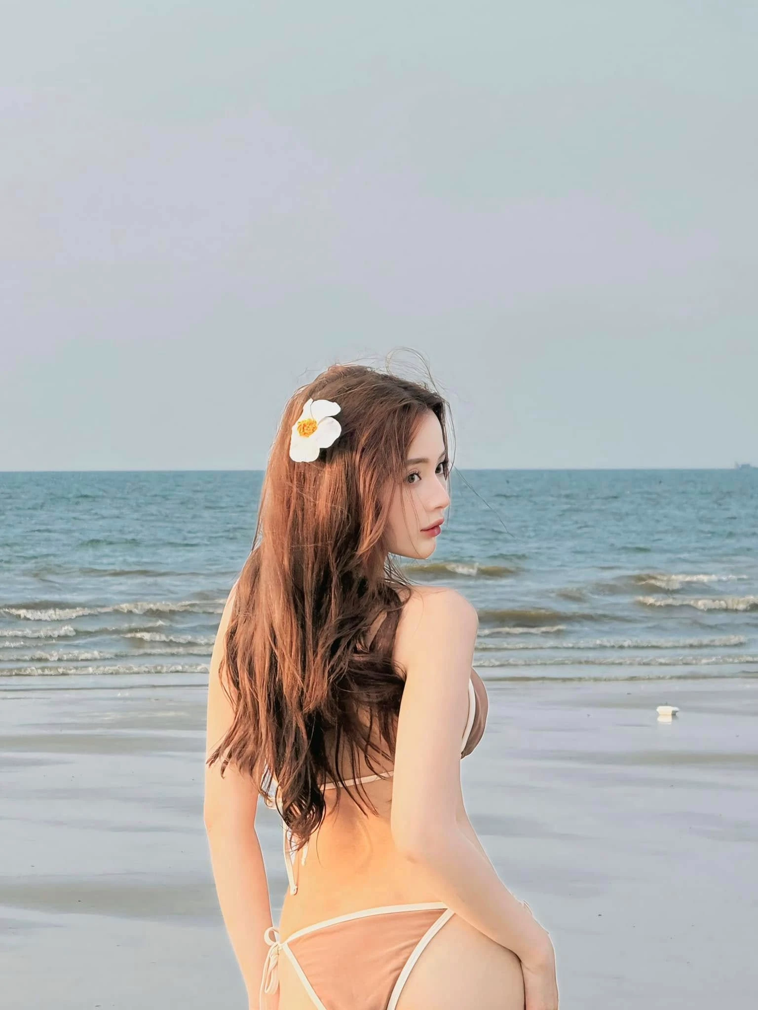 Lan hương 7